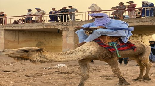 محاميد الغزلان .. افتتاح فعاليات مهرجان الرحَّل الدولي في نسخته 18 بفن الحكاية